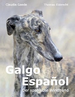 Galgo Español - Der spanische Windhund