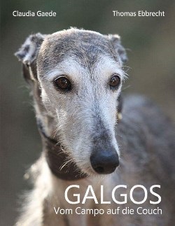 Galgos - Vom Campo auf die Couch